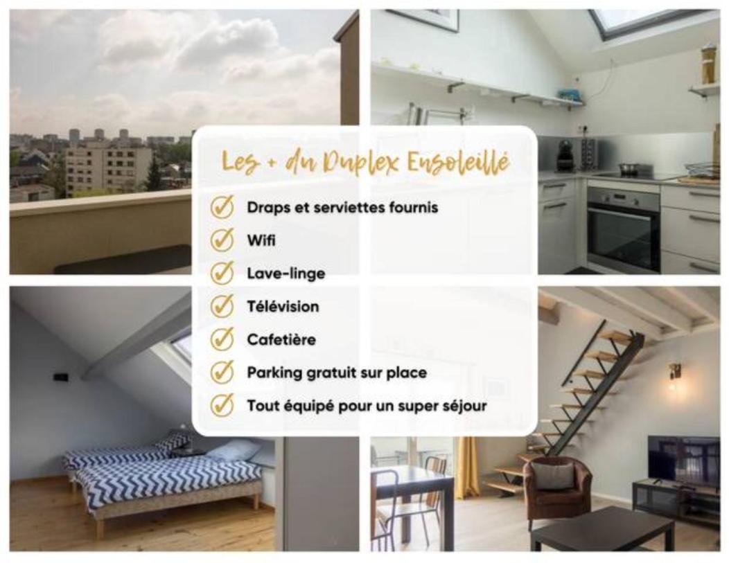 شقة Le Duplex Ensoleille Du Parc * Parking * Balcon * أورلييو المظهر الخارجي الصورة